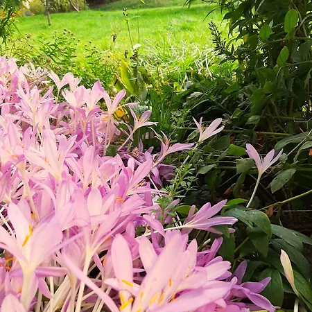 Lägenhet Malche Gaeste Und Tagungshaus 26 Bad Freienwalde