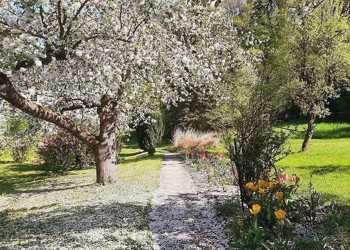 Malche Gaeste Und Tagungshaus 26