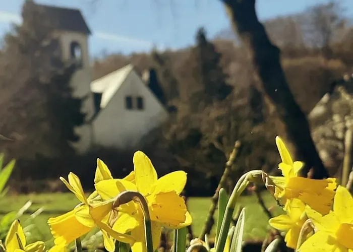 Lägenhet Malche Gaeste Und Tagungshaus 26