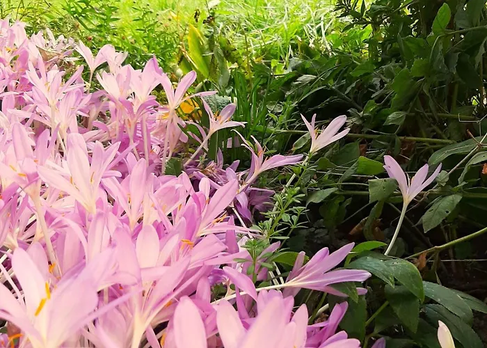 Lägenhet Malche Gaeste Und Tagungshaus 26 Bad Freienwalde