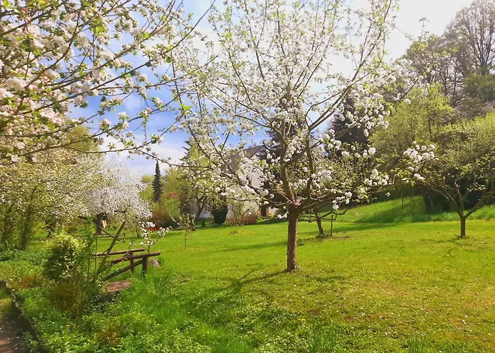 Lägenhet Malche Gaeste Und Tagungshaus 26 Bad Freienwalde