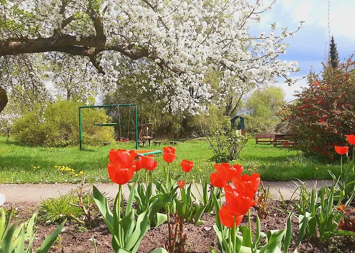 Malche Gaeste Und Tagungshaus 26 * Bad Freienwalde